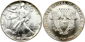 USA 1 Dollar 1987  'American Silver Eagle'