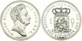 Netherlands 1 Gulden 1840 Willem I Replica