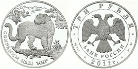 Russia 3 Roubles 2011 (MMD) Persian Leopard