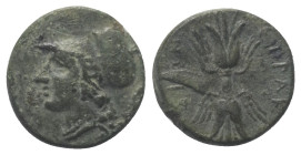 Sizilien. Syrakus. Agathokles (317 - 289 v. Chr.).

 Bronze. Ca. 305 - 295 v. Chr.
Vs: Kopf der Athena mit korinthischem Helm links.
Rs: Blitzbünd...