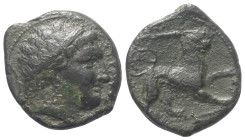Sizilien. Syrakus. 4. Demokratie (289 - 287 v. Chr.).

 Bronze.
Vs: Kopf des Herakles mit Tainia rechts, dahinter Bogen.
Rs: Löwe nach rechts schr...