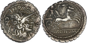 RÉPUBLIQUE ROMAINE
Pomponia, Lucius Pomponius. Denier serratus 118 av. J.-C., Narbonne. RRC.282/4 ; Argent - 3,94 g - 20,5 mm - 3 h
TTB.