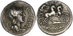RÉPUBLIQUE ROMAINE
Marcus Cipius. Denier 115 av. J.-C., Rome. RRC.289/1 ; Argent - 3,90 g - 17,5 mm - 8 h
TTB.