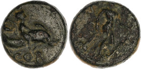 EMPIRE ROMAIN
Tibère (14-37). Semis 32-33, Corinthe. RPC.1168 ; Cuivre - 3,76 g - 16 mm - 3 h
TB à TTB.