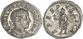 EMPIRE ROMAIN
Alexandre Sévère (222-235). Denier 232, Rome. C.546 - RIC.254 ; Argent - 3,15 g - 19 mm - 1 h
Superbe.