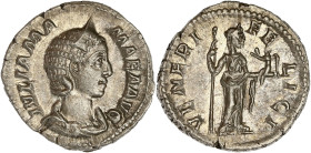 EMPIRE ROMAIN
Julia Mamaea (+235). Denier 224, Rome. C.60 - RIC.351 ; Argent - 3,11 g - 19,5 mm - 7 h
Superbe.