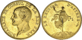 FRANCE
Consulat (1799-1804). Médaille, Bonaparte Premier Consul, la Paix d’Amiens par Droz 1802, Paris. Br.199 ; Bronze doré - 31,97 g - 39 mm - 5 h
T...