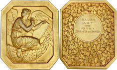 FRANCE
IIIe République (1870-1940). Plaque, archange ou victoire, par E. Fraisse 1931, Paris. Bronze doré - 103,6 g - 64 mm - 12 h
Attribution 1931 1e...
