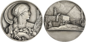 FRANCE
IIIe République (1870-1940). Médaille, l’abondance agricole, par M. Delannoy ND, Paris. Argent - 55,9 g - 50 mm - 12 h
Par Maurice Delannoy (18...