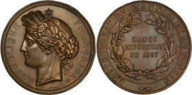 INDOCHINE
IIIe République (1870-1940). Médaille pour l’Exposition de Hanoï, protectorat de l’Annam et du Tonkin 1887, Paris. Bronze - 178,33 g - 72 mm...