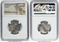LUCANIA. Metapontum. Ca. 510-470 BC. AR stater (24mm, 12h). NGC Choice VF. METAΠ, barley ear with seven grains; guilloche border on raised rim / Incus...