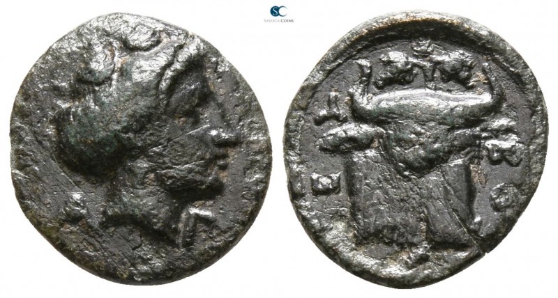 Euboea. Euboian League circa 357-338 BC. 
Bronze Æ

11mm., 1,57g.

Female h...