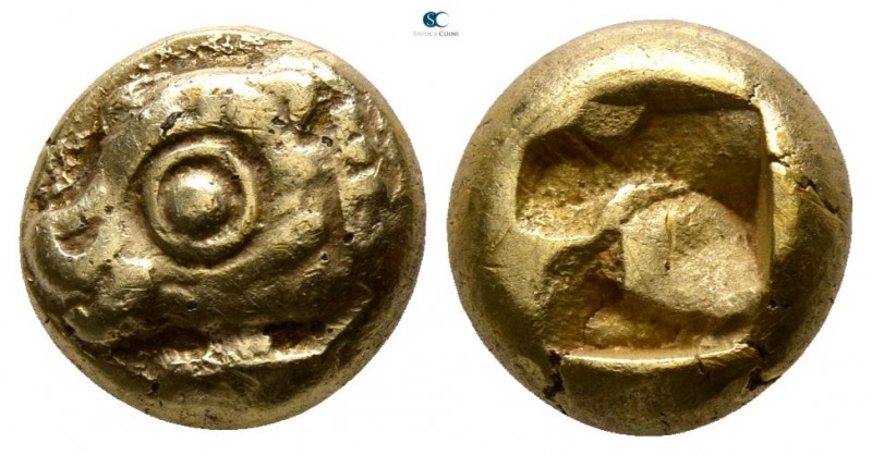 Ionia. Phokaia circa 625-522 BC. 
Hekte EL

8mm., 2,51g.

Head of seal left...