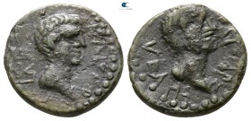 Troas. Skepsis . Gaius and Lucius, Caesars 20 BC-AD 4. Bronze Æ