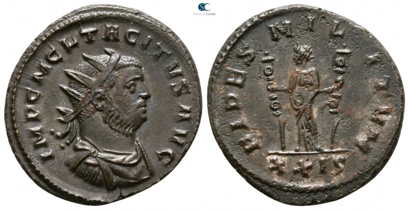 Tacitus AD 275-276. Rome
Antoninianus Æ

21mm., 4,48g.

IMP C M C L TACITVS...