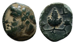 Aeolis, Temnos Æ (9mm, 1.0 g). Circa 3rd century BC. Bearded head of Dionysos to left, wreathed with ivy / Bunch of grapes; T-A across fields.