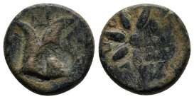 Greek Coins (17mm, 4.7 g)