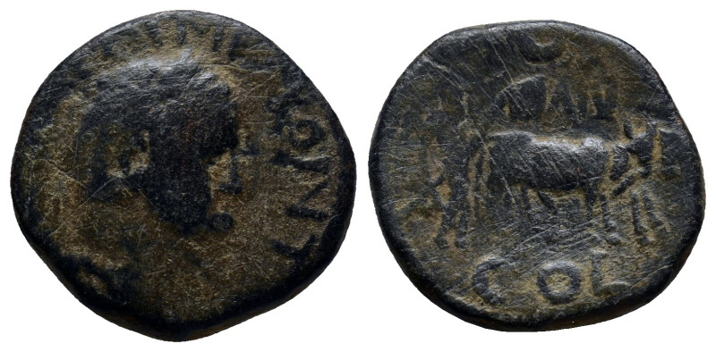 PISIDIA. Antioch. Titus (Caesar, 69-79). Ae. (19mm, 6.9 g) Obv: T CAES IMP PONT....