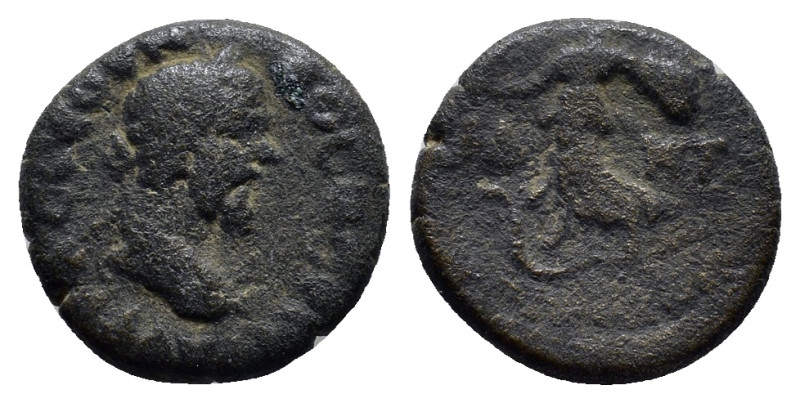 PAMPHYLIA, Side. Septimius Severus. AD 193-211. Æ (16mm, 4.0 g). Laureate head r...