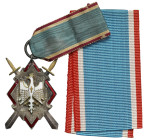 II RP, Odznaka 'Miecze Hallerowskie'