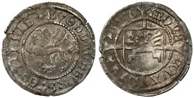 Pomorze, Bogusław X, Szeląg Szczecin 1506
