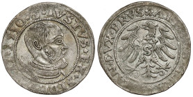 Prusy, Albrecht Hohenzollern, Grosz Królewiec 1530