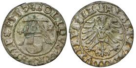 Prusy, Albrecht Hohenzollern, Szeląg Królewiec 1557