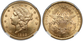 USA, 20 dollars 1895