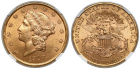 USA, 20 dollars 1907