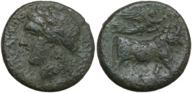 Italy, Campania, Neapolis. c. 270-250 BC. Æ (19 mm, 6 g). NEOPOLITWN. Laureate head of Apollo l. R/Manheaded, bearded bull r., head facing, crowned by...