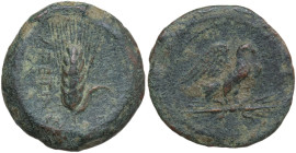 Italy, Apulia, Azetium. c. 300-275 BC. Æ Hemiobol (18, 5 mm, 4 g). Eagle standing right on thunderbolt. R/ Grain ear. SNG France 1272; SNG ANS (Volume...
