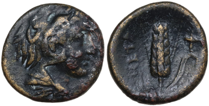 Italy, Lucania, Metapontion. c. 300-250 BC. Æ (14,4 mm, 2,7 g) Head of Herakles ...