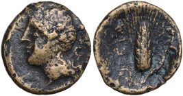 Italy, Lucania, Metapontion, c. 300-250 BC. Æ (15,9 mm, 2,4 g) Head of Demeter left, wearing barley-wreath and pendant earring, R/META, barley-ear wit...