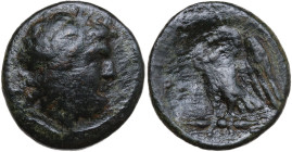Italy, Bruttium, Brettii. 214-211 BC. Æ (19,4 mm, 6,8 g). Laureate head of Zeus r., [wheat ear] behind. R/BPET - TION Eagle with spread wings standing...