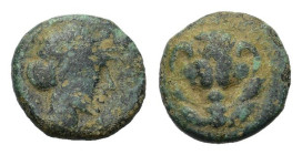 Italy, Bruttium, Rhegion, c. 415/0-387 BC. Æ (11,9 mm, 1,5 g). Facing lion's scalp. R/ Laureate head of Apollo r. HN Italy 2524; SNG ANS 698-701.