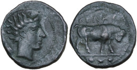 Sicily, Gela. c 420-405 BC. Æ Onkia. (16,8 mm, 2,6 g). Head of river-god Gelas righ, grain ear behind. R /Bull butting right; grain ear and ΓΕΛΑΣ abov...