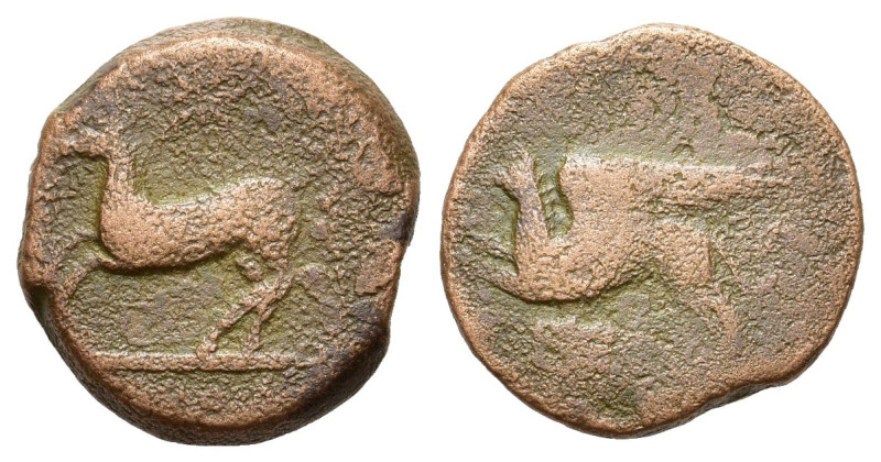 Sicily, Kainon. c. 365-360 BC. Æ Hemilitron. (20,7 mm, 8,3 g). Horse leaping to ...