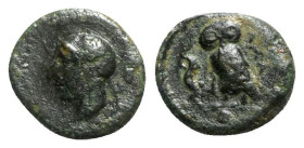 Sicily, Kamarina, c. 410-405 BC. Æ Onkia (10mm, 1.17g, 3h). Head of Athena l., wearing crested Corinthian helmet. R/ Owl standing l., grasping lizard;...
