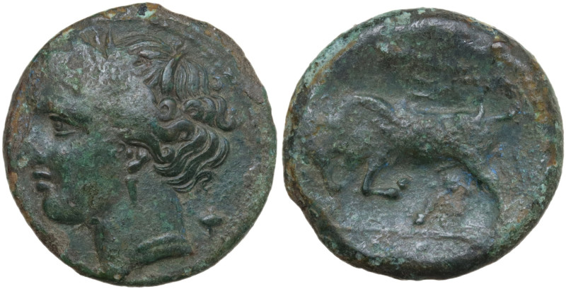 Syracuse. Agathocles. 317-281 BC. Æ (18,8 mm, 5,2 g). Wreathed head of Head of P...