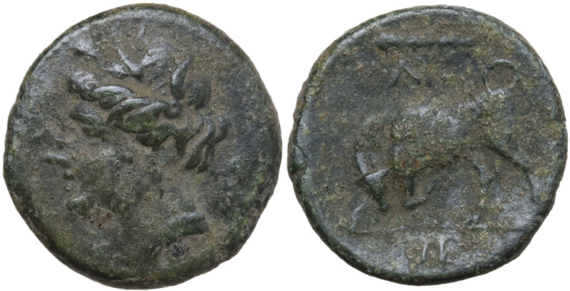 Sicily, Syracuse, Hieron II. 275-216 BC. Æ (16,8 mm, 3,8 g). Head of Korah to le...