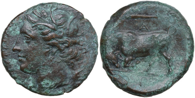 Sicily, Syracuse, time of Hieron II. 275-216 BC. Æ hemilitron (20,5 mm, 5,7 g) W...