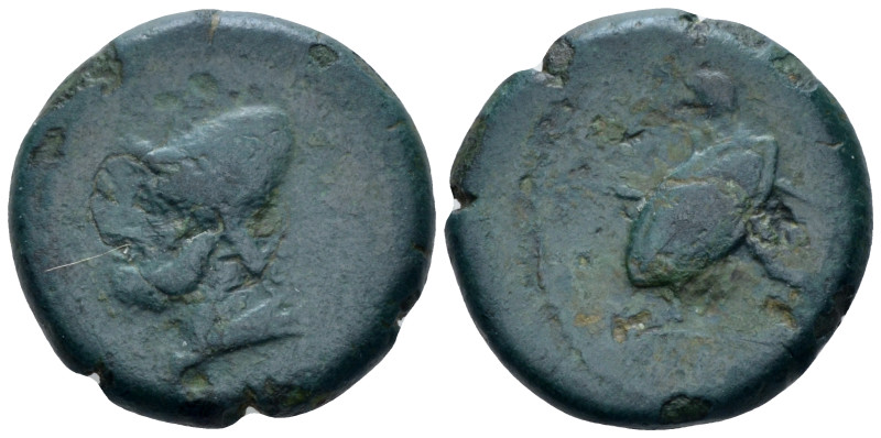 Umbria, Ariminum Bronze circa 268-225, Æ 20.00 mm., 6.45 g.
Bust of Vulcan l., ...