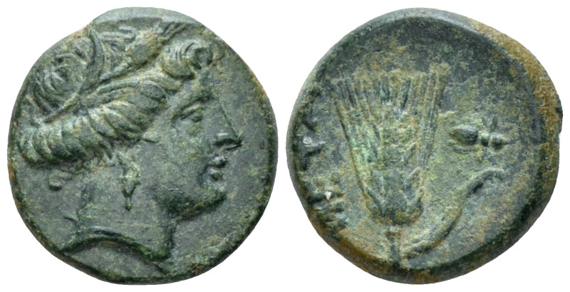 Lucania, Metapontum Bronze circa 300-250, Æ 17.00 mm., 2.62 g.
Wreathed head of...