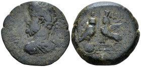 Seleucis ad Pieria, Gabala Commodus, 177-192 Bronze circa 177-192 - From a private British collection.