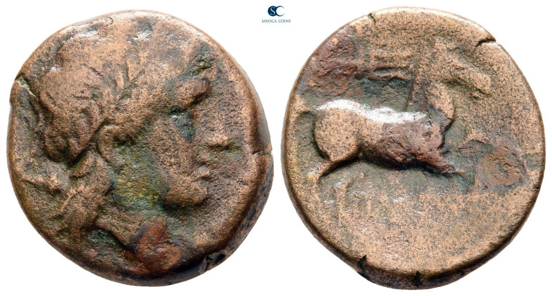 Apulia. Salapia circa 225-210 BC. 
Bronze Æ

22 mm, 7,43 g



nearly very...