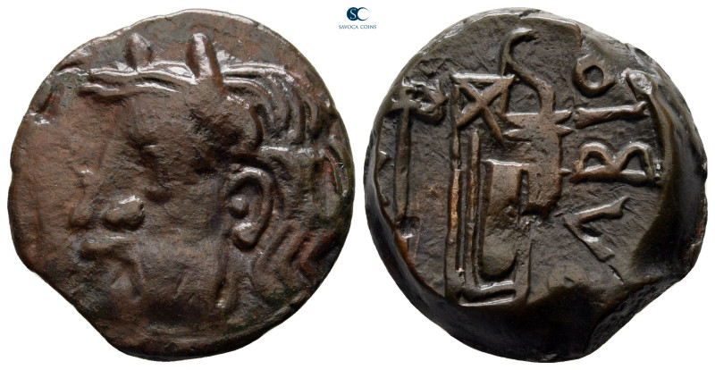 Scythia. Olbia circa 310-280 BC. 
Bronze Æ

23 mm, 9,20 g



very fine