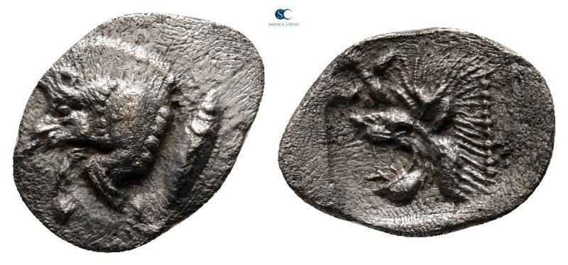 Mysia. Kyzikos circa 525-475 BC. 
Hemiobol AR

11 mm, 0,35 g



very fine