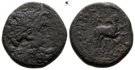 Seleucis and Pieria. Antioch. Pseudo-autonomous issue. Time of Augustus 27 BC-AD 14. Bronze Æ
