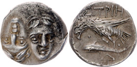 Ancient Greece Istria 1 Drachm 450 - 350 BC (ND)
SNG BM Black Sea 253; Silver 4.17 g.; Obv: Facing male heads, the right inverted. Rev: Sea-eagle lef...
