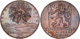 Czechoslovakia 25 Korun 1970
KM# 69, N# 12633; Silver; 25th Anniversary of Czechoslovakian Liberation; UNC with patina